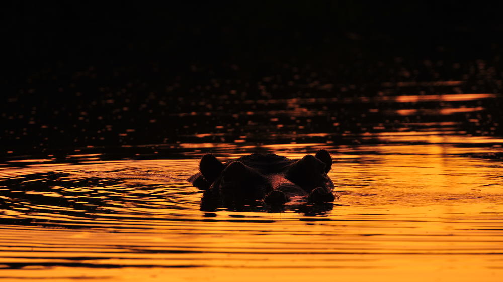 Inyati Game Lodge, Sabi Sand Nature Reserve