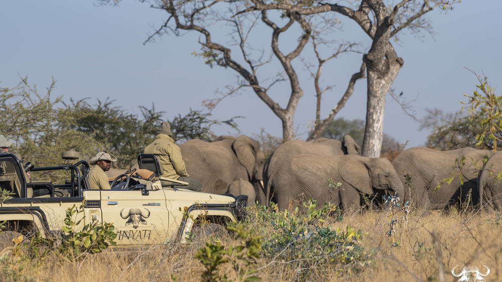 Inyati Game Lodge, Sabi Sand Nature Reserve