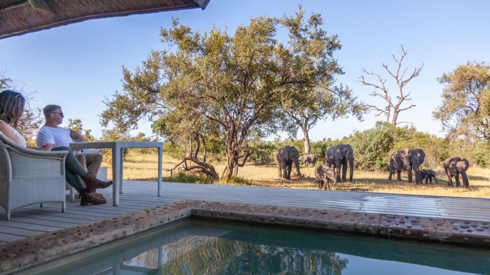Leopard Hills Private Game Lodge