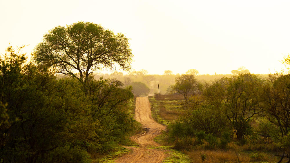 Manyeleti Private Game Reserve