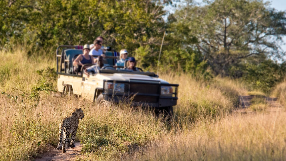 Manyeleti Private Game Reserve
