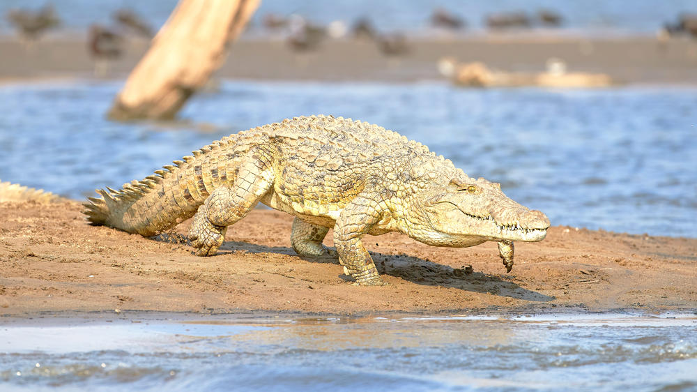 Matusadona National Park