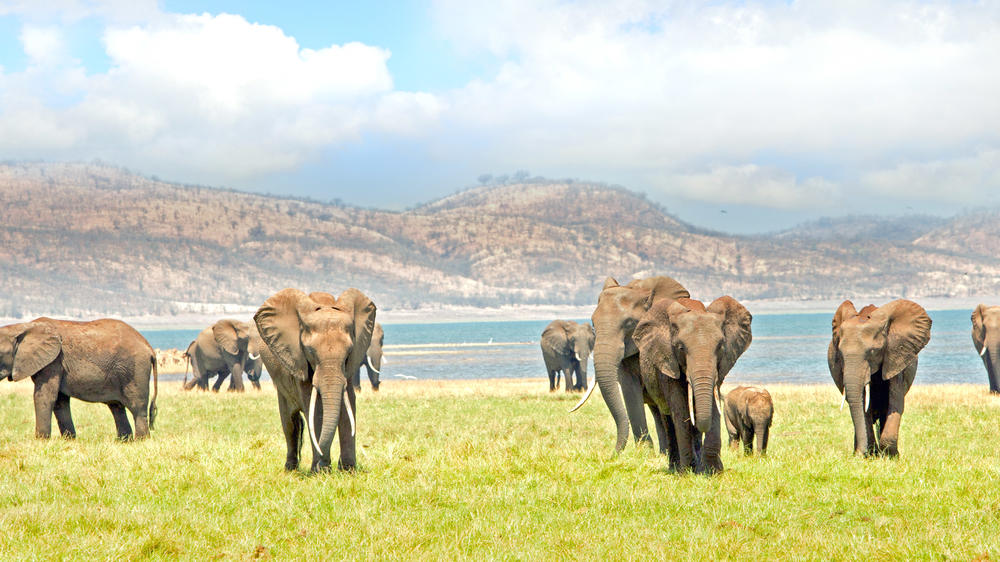 Matusadona National Park