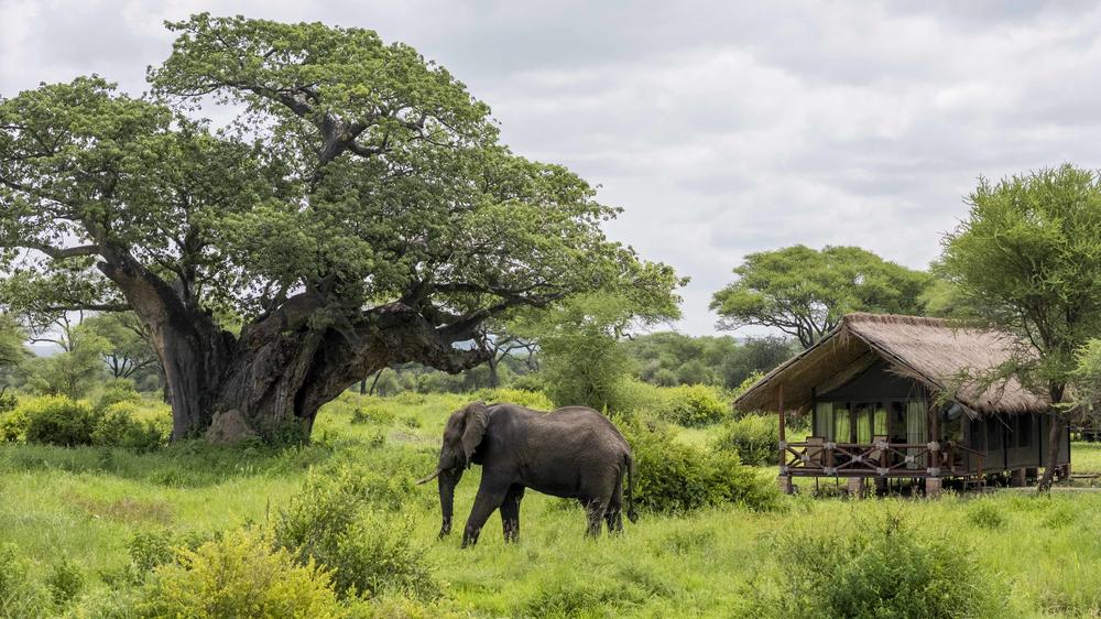 Tarangire Simba Lodge