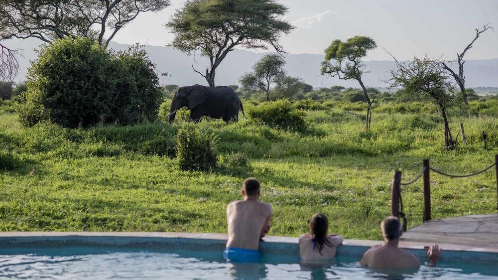 Tarangire Simba Lodge