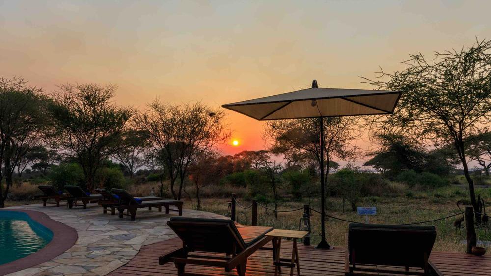 Tarangire Simba Lodge