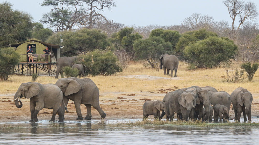 Zimbabwe - 4-day Hwange Safari with Jozibanini - Private accommodated