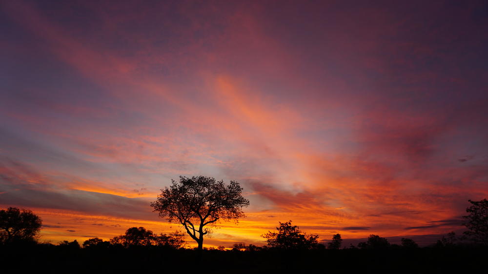 Xanatseni Private Camp