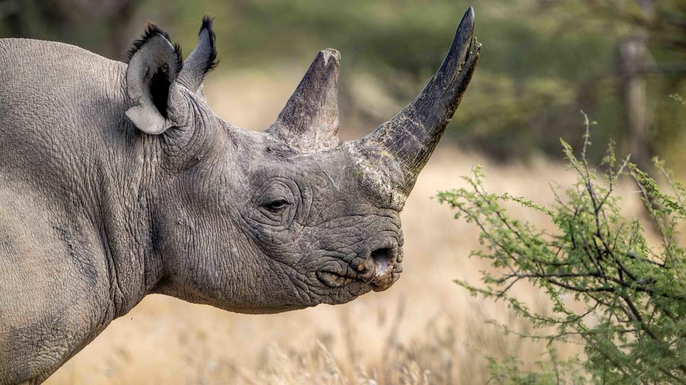 Etosha Mountain Lodge