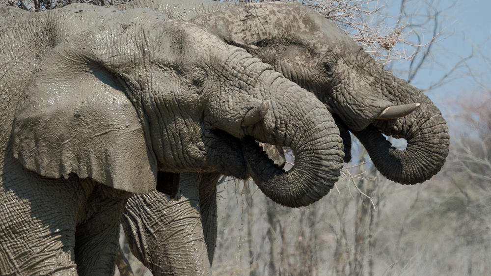 Etosha Mountain Lodge