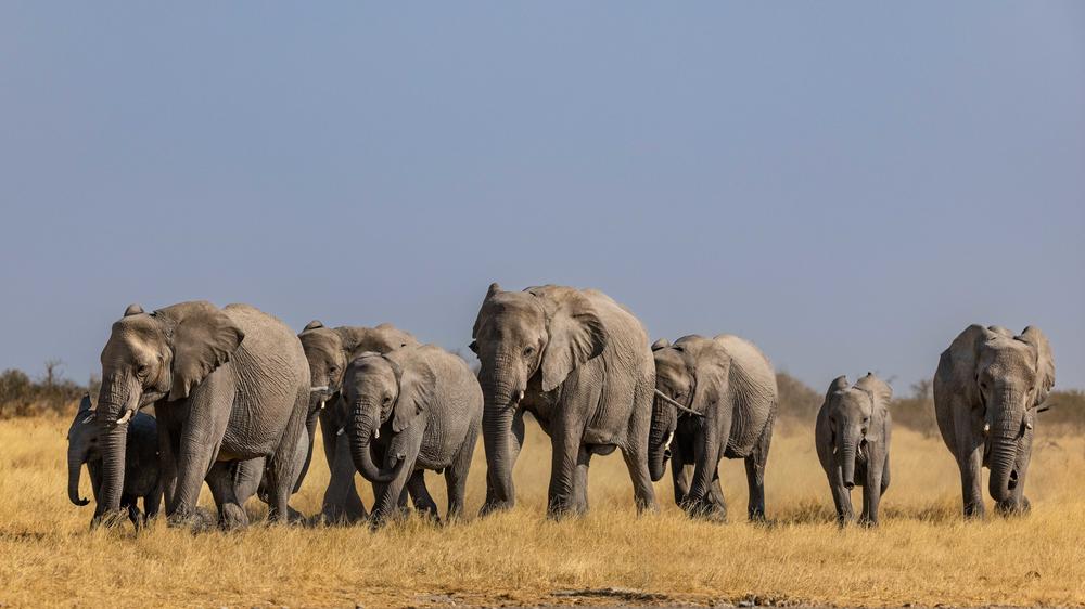 Etosha Mountain Lodge
