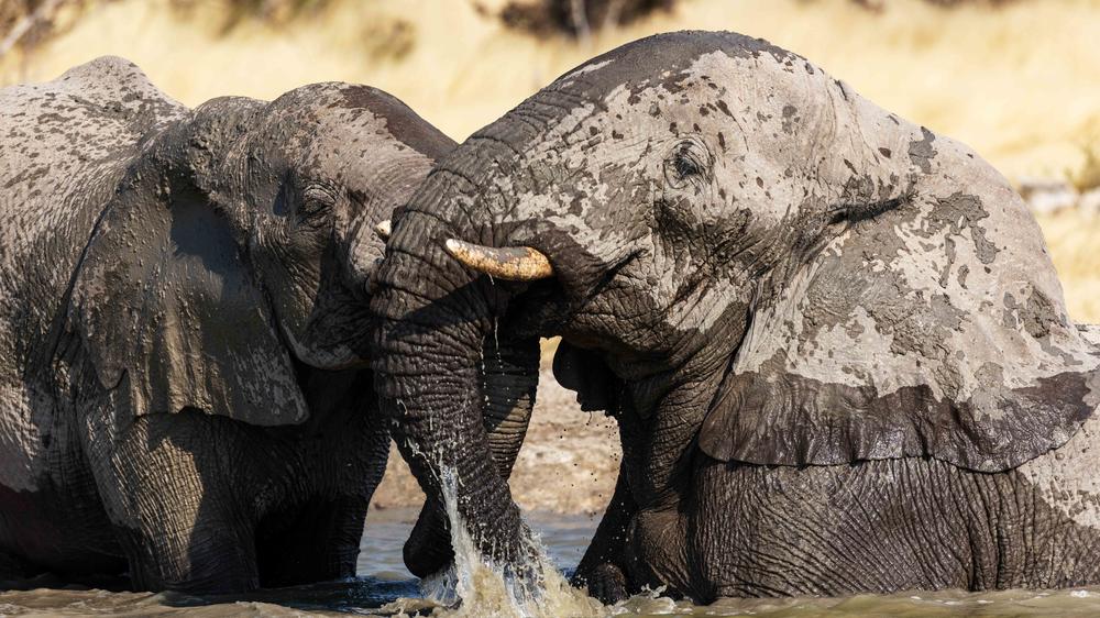 Etosha Mountain Lodge