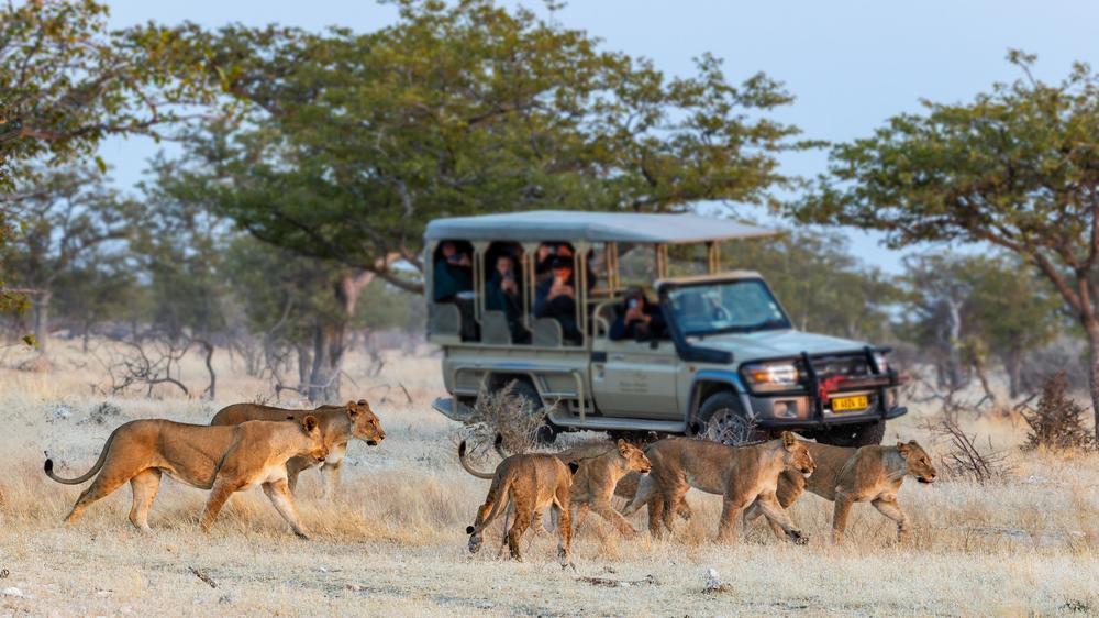 Etosha Mountain Lodge