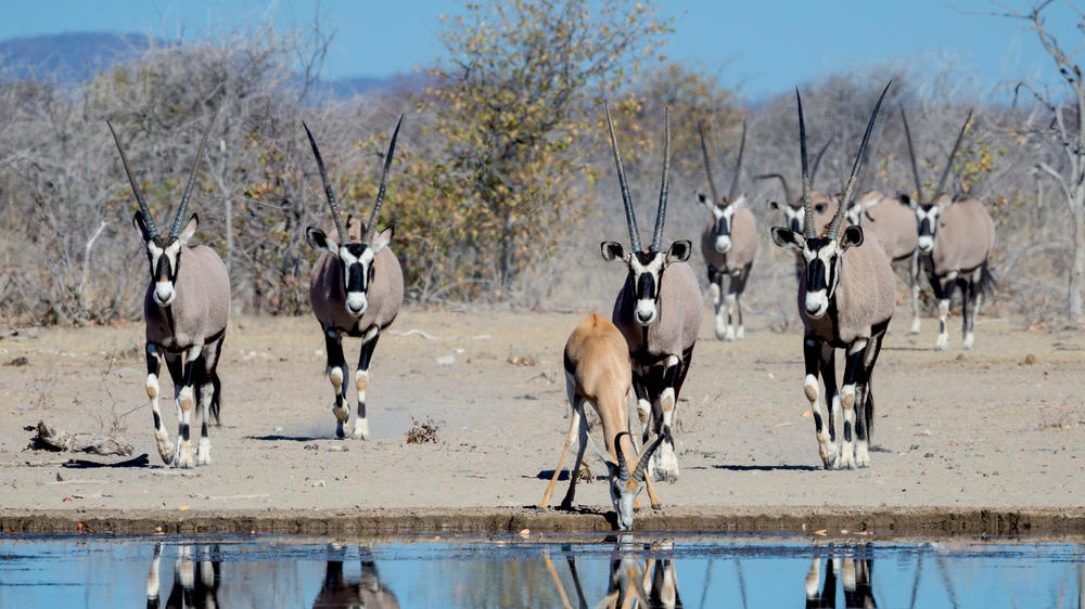 Etosha Mountain Lodge