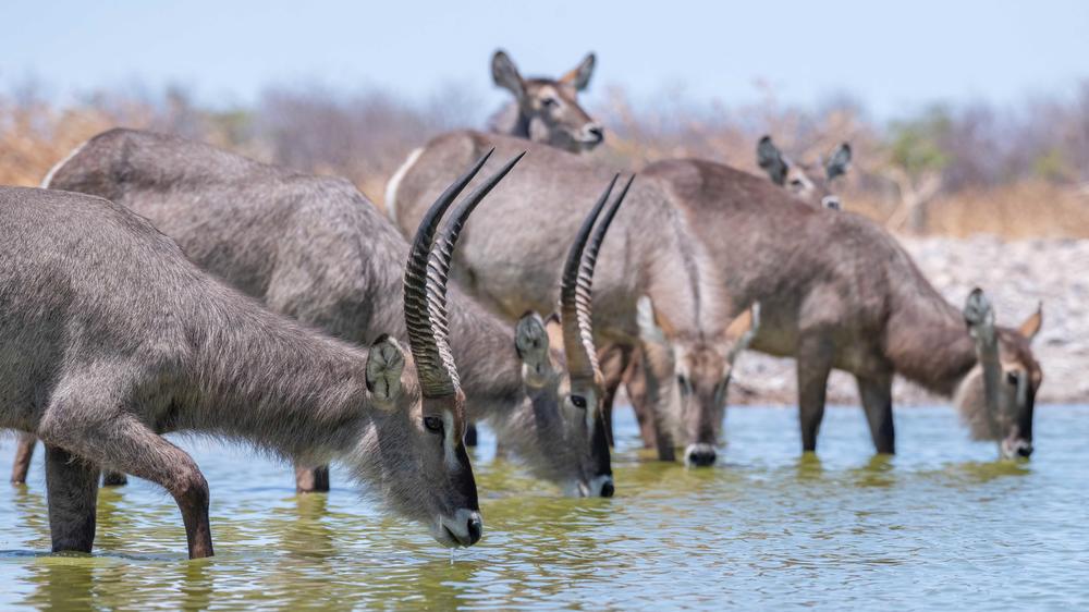 Etosha Mountain Lodge