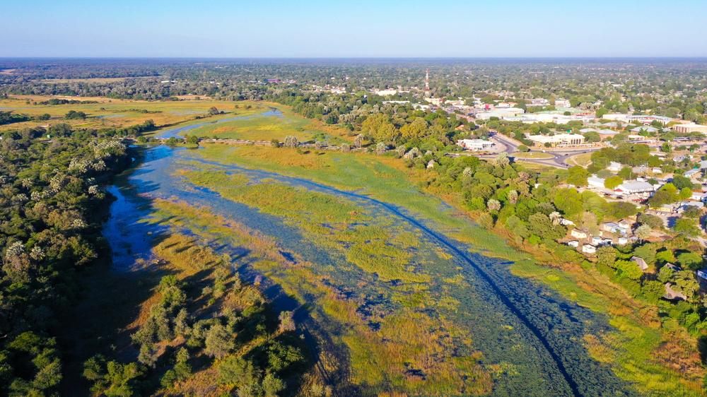 Maun