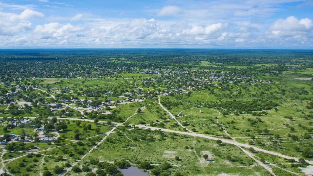 Maun