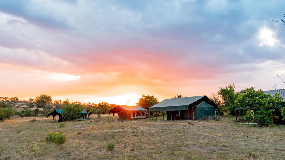Kirurumu Serengeti North Camp (June - Oct)