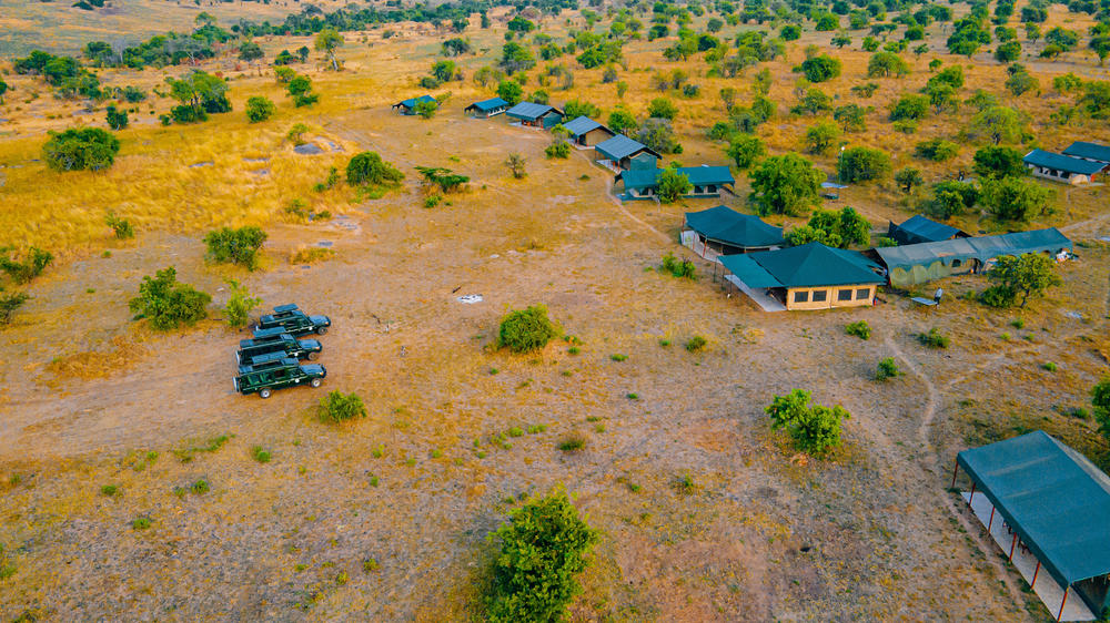 Tanzania - 4-day Serengeti Migration Safari with Kirurumu - Private fly-in