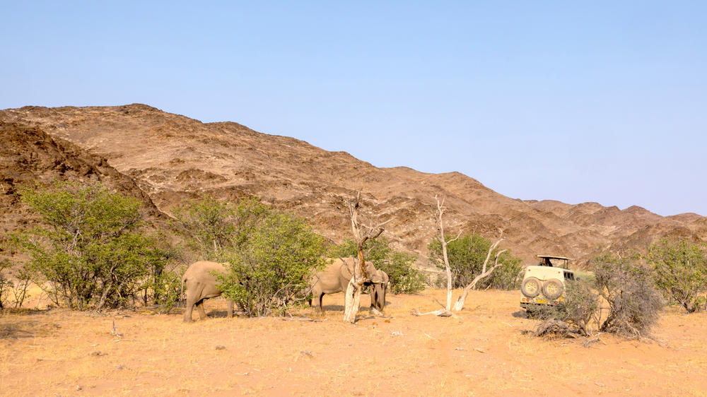 Kunene