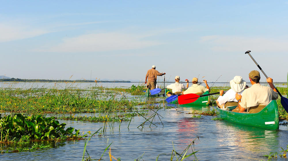 Lower Zambezi