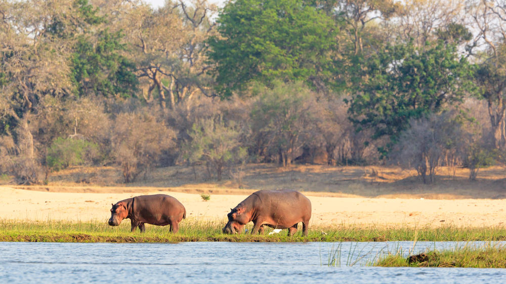 Lower Zambezi