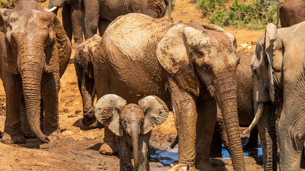 Southern Kruger