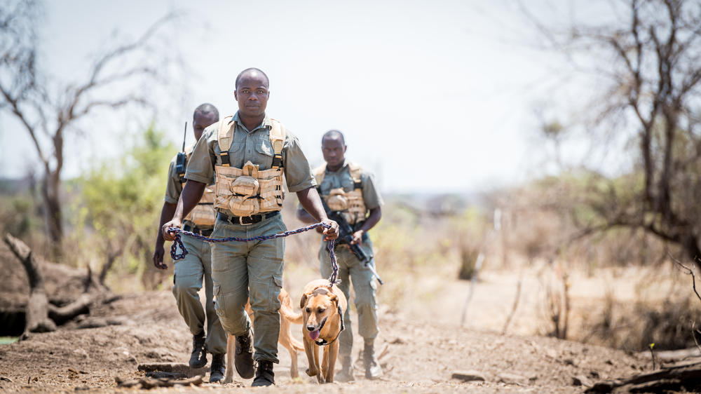 Matetsi Victoria Falls