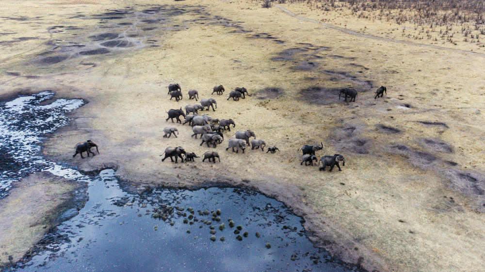 Matetsi Victoria Falls