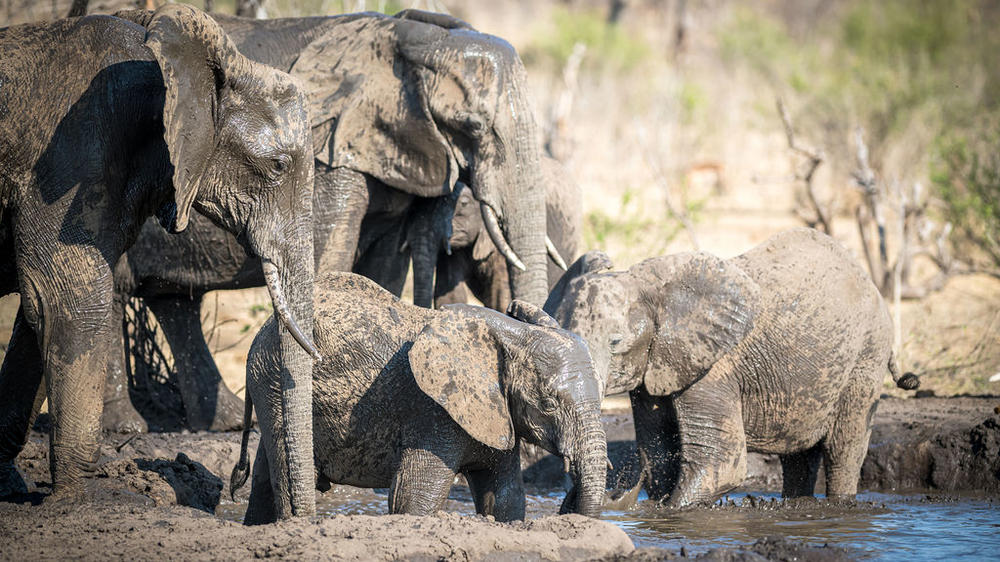 Matetsi Victoria Falls