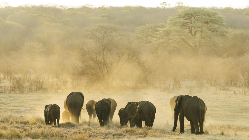 Matetsi Victoria Falls
