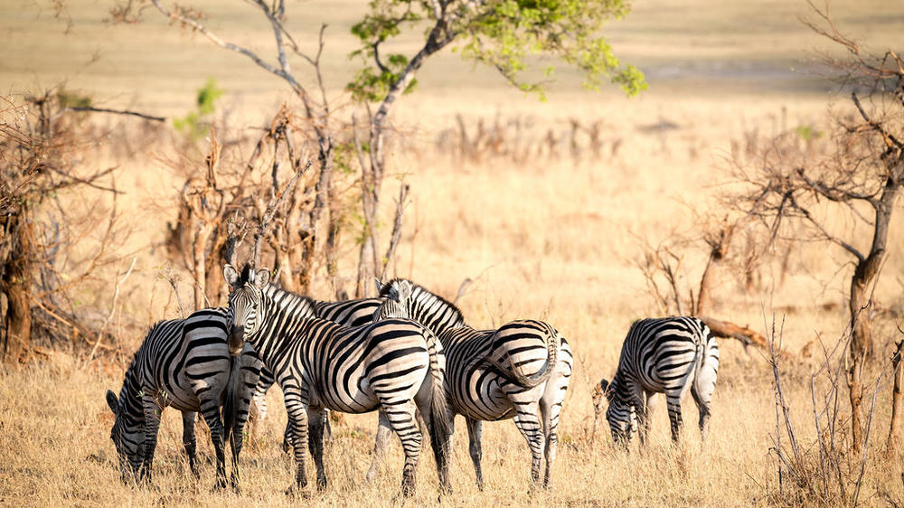 Matetsi Victoria Falls