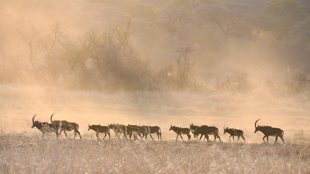 Matetsi Victoria Falls