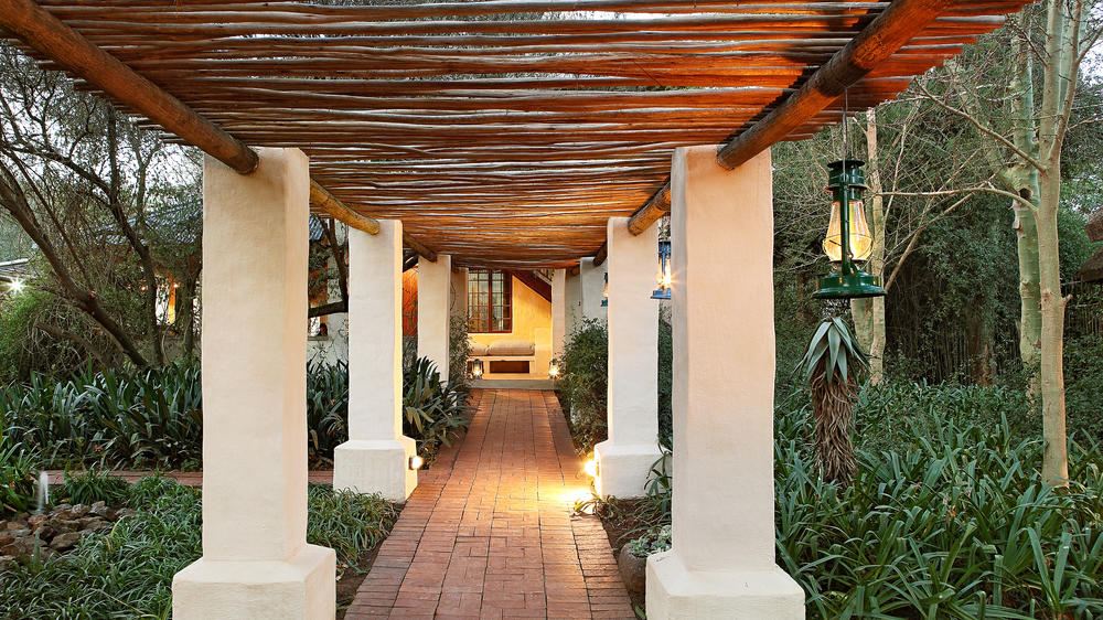 South Africa - 4-day Eastern Cape Safari with Addo Elephant National Park - Tailored Driven