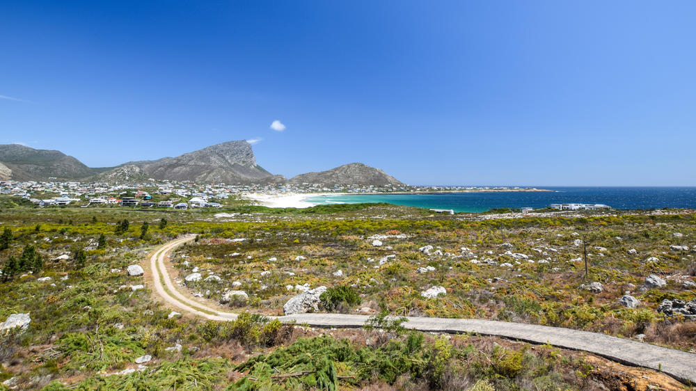 Pringle Bay