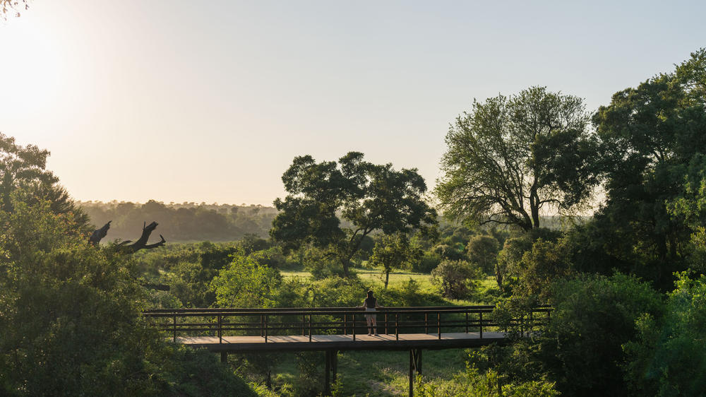 South Africa - 4-Day MalaMala Safari with Sable Camp - Tailored Driven