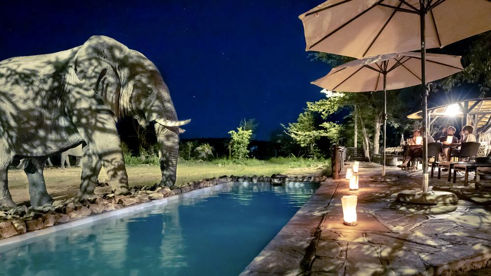 Ongava Tented Camp