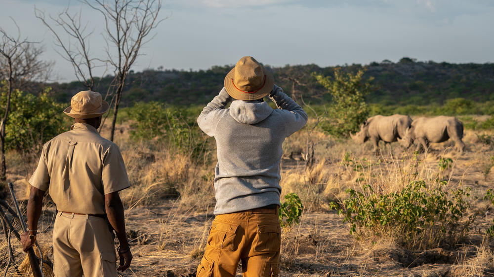Anderssons At Ongava