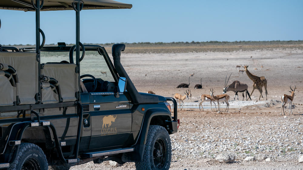 Anderssons At Ongava