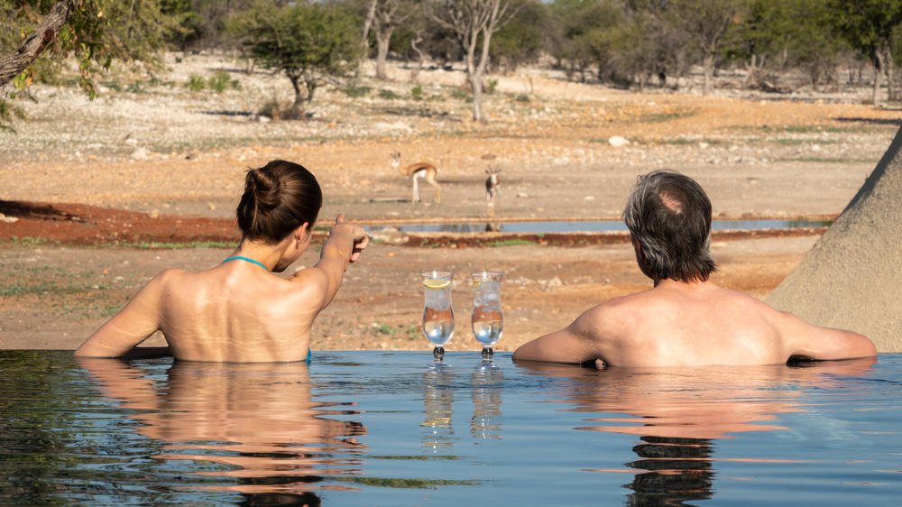 Anderssons At Ongava
