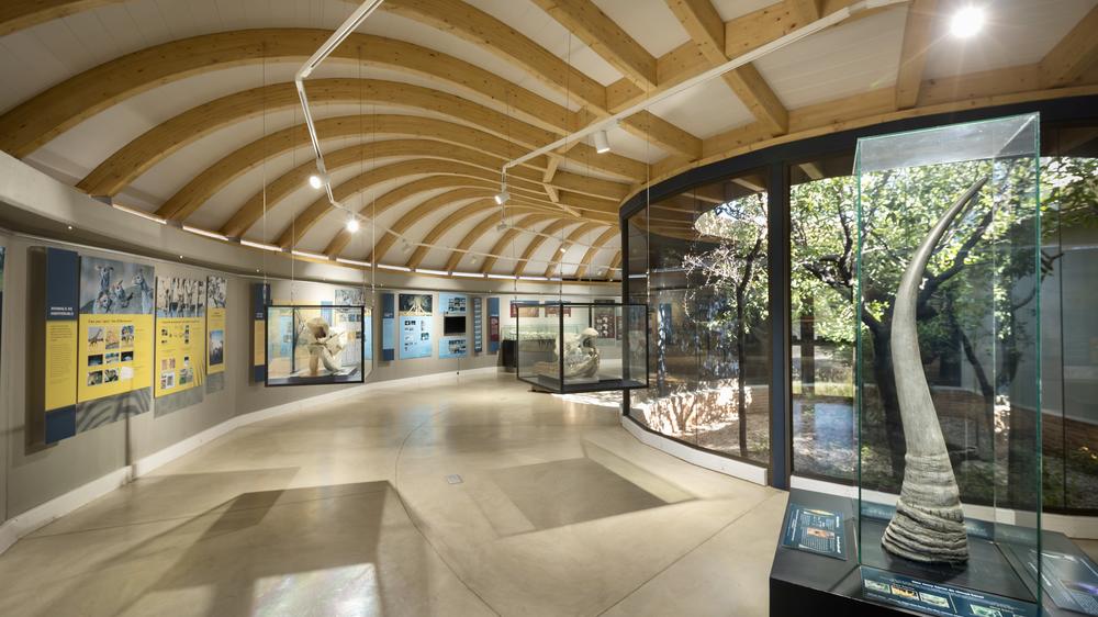 Anderssons At Ongava