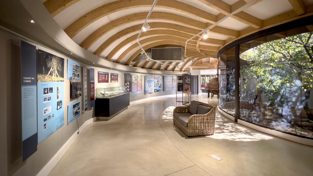 Anderssons At Ongava