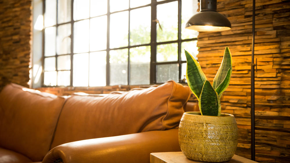 Olive Grove Guesthouse