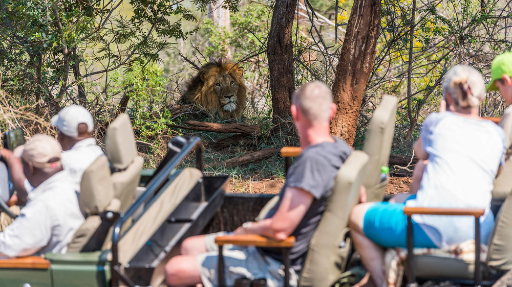 aha Makalali Main Lodge
