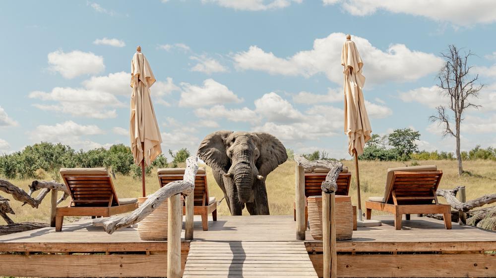 African Bush Camps Somalisa Expeditions
