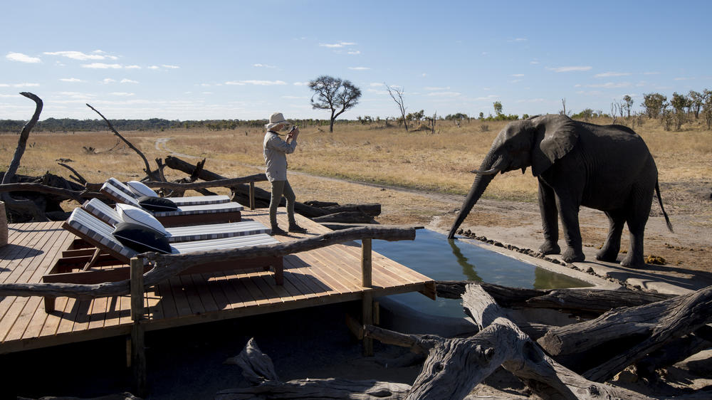 African Bush Camps Somalisa Expeditions