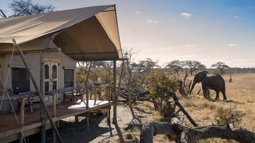 African Bush Camps Somalisa Expeditions