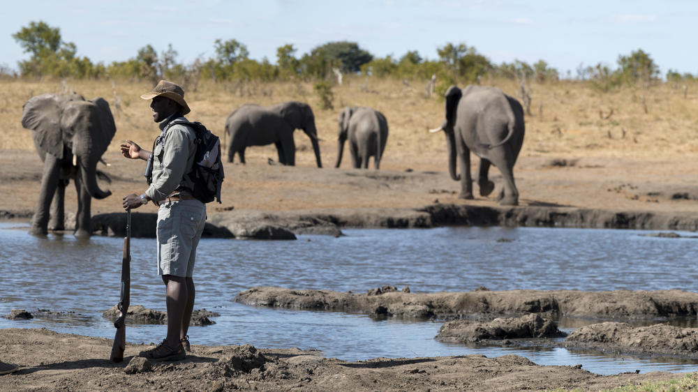 African Bush Camps Somalisa Expeditions