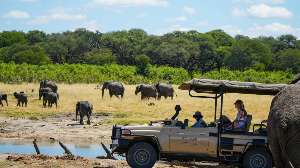 African Bush Camps Somalisa Expeditions