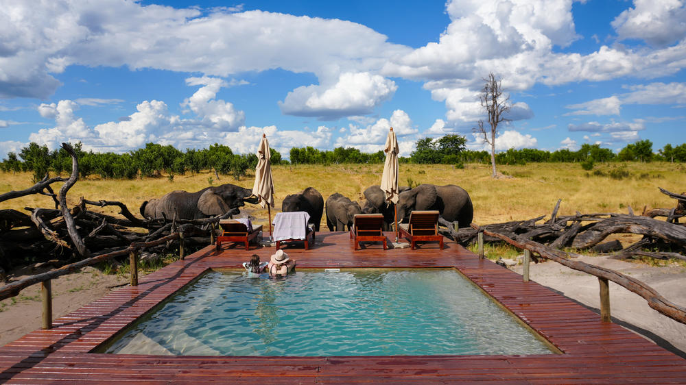 African Bush Camps Somalisa Expeditions